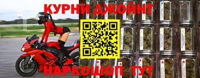 стаф Кунгур