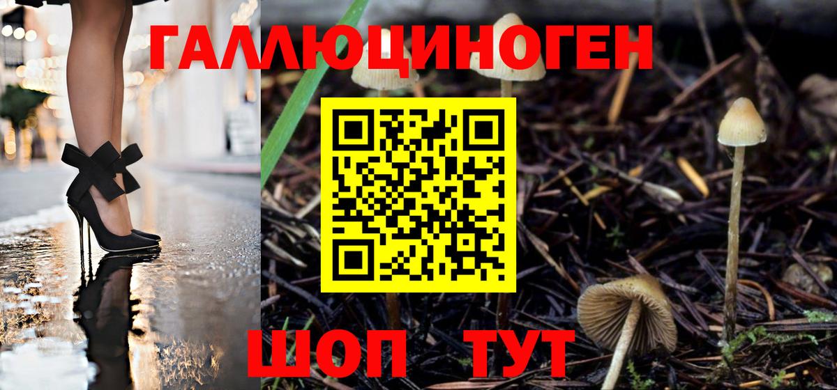 Псилоцибиновые грибы прущие грибы  Галлюциногенные грибы MAGIC MUSHROOMS  Вход с VPN  Егорьевск 